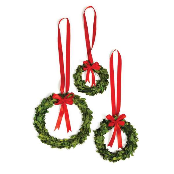 Boxwood Wreaths with Red Ribbons - Set of 3 Preserved Greenery Napa Home & Garden