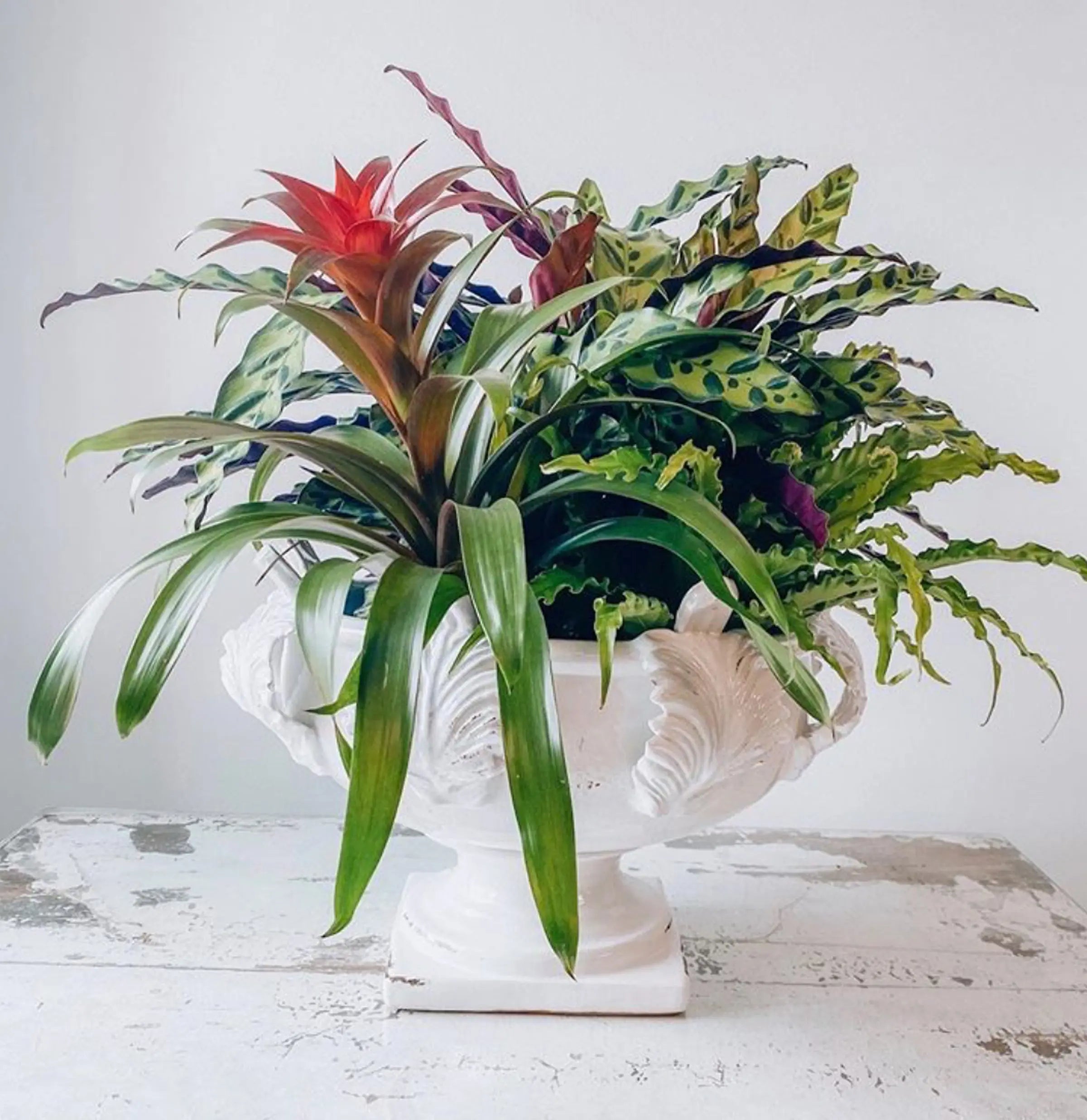 Vinci Centerpiece Medium - Terracotta Acanthus Leaf Bowl | Antiqued White - Villa Decor & Design