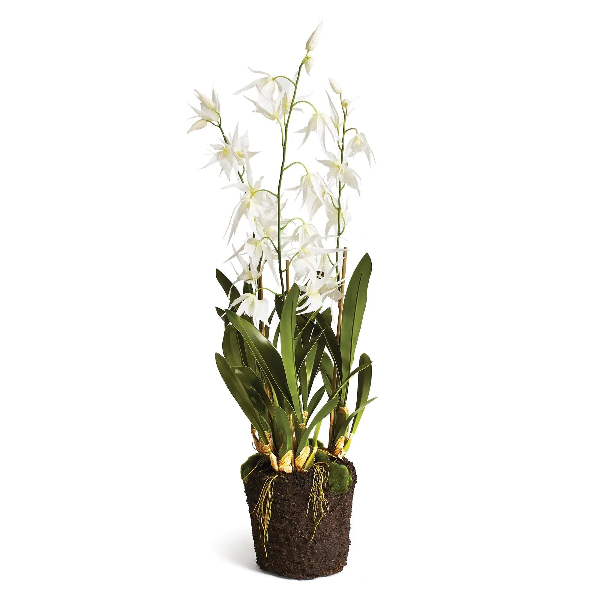 SPIDER ORCHID DROP-IN 44" Villa Decor & Design