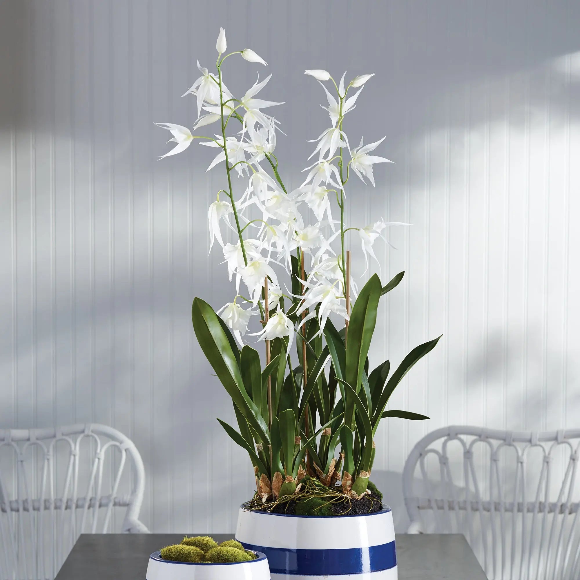 SPIDER ORCHID DROP-IN 44" Villa Decor & Design