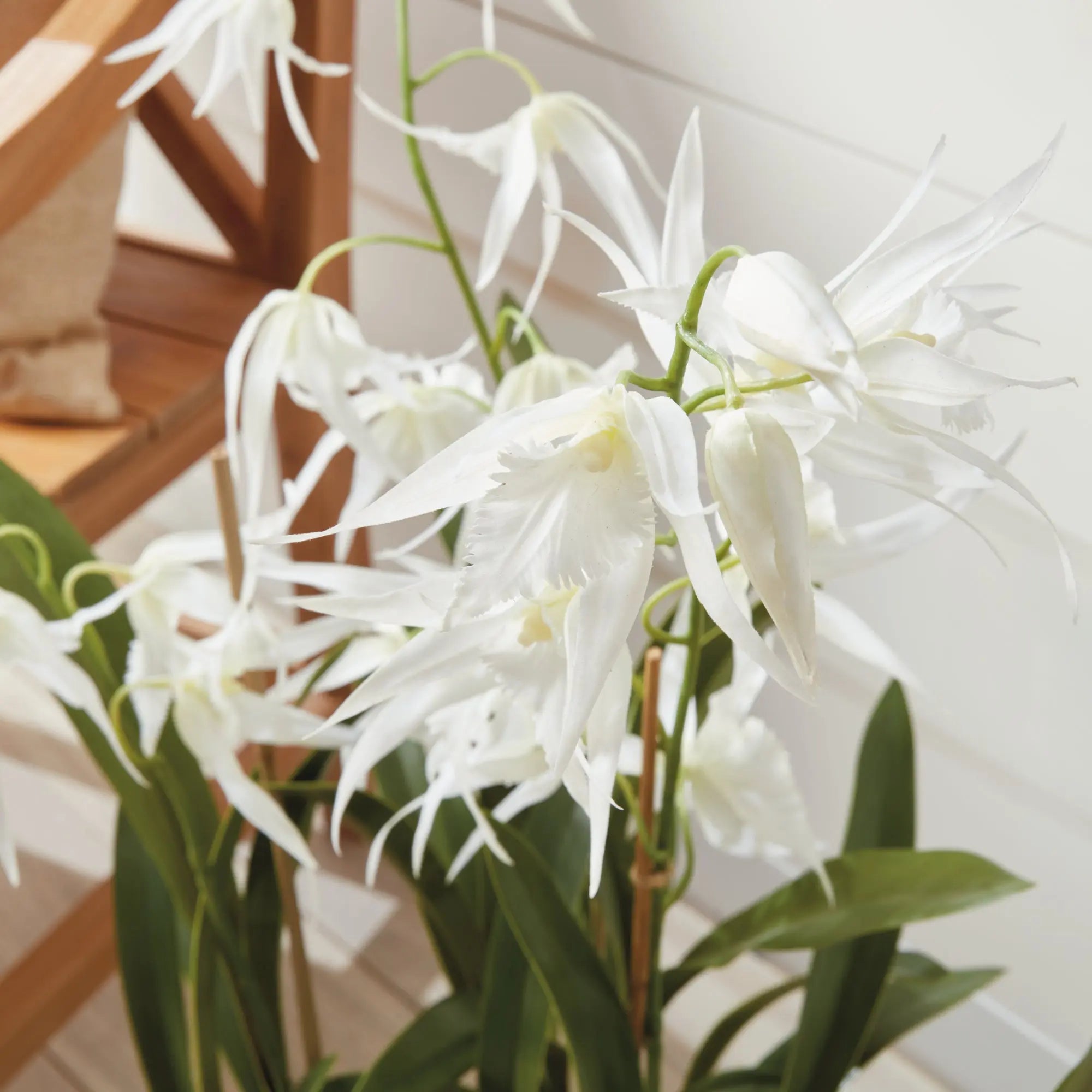 SPIDER ORCHID DROP-IN 44" Villa Decor & Design