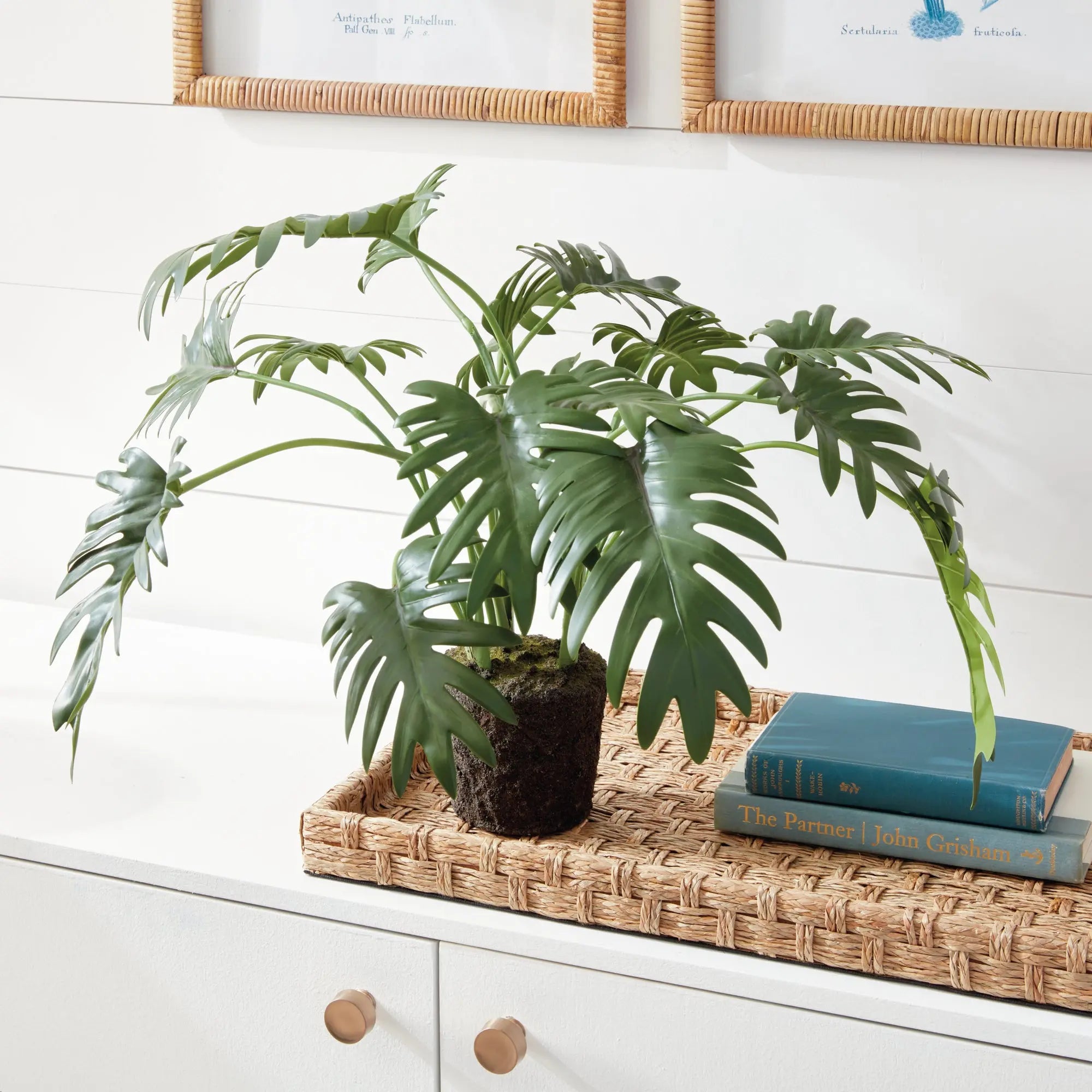 SPLIT LEAF SELLOUM DROP-IN 22.5" Villa Decor & Design