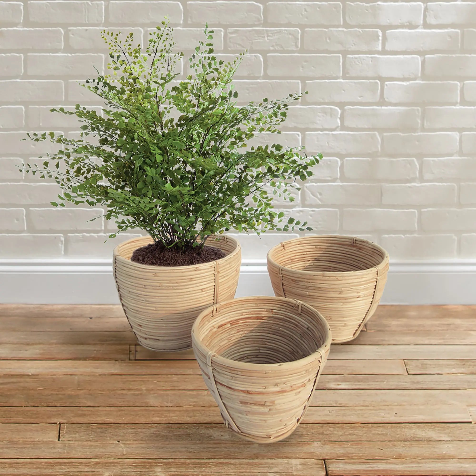 CANE RATTAN ROUND TAPERED BASKETS, SET OF 3 Villa Decor & Design