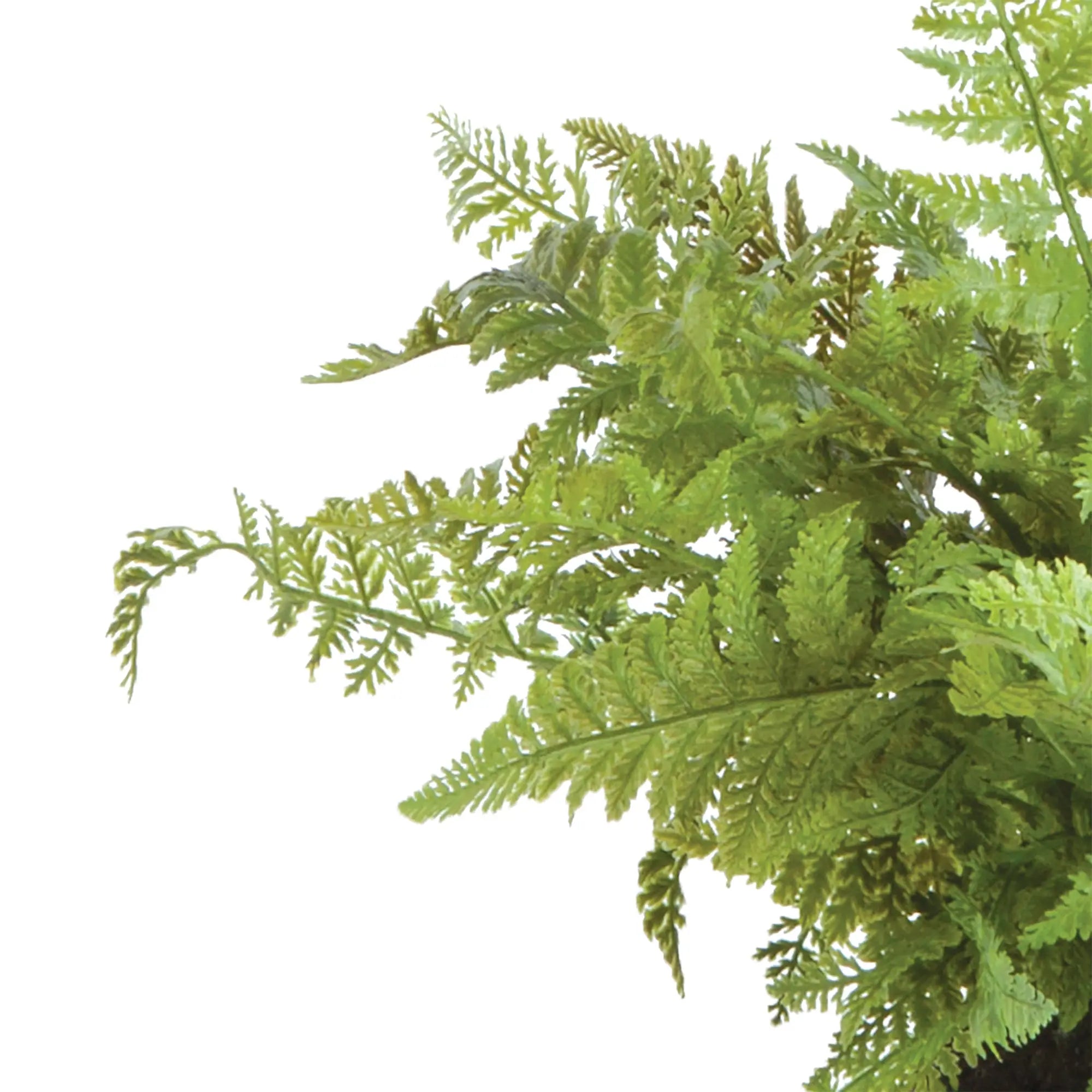 Realistic 10.5-inch soft fern faux plant with natural green foliage and detailed root ball