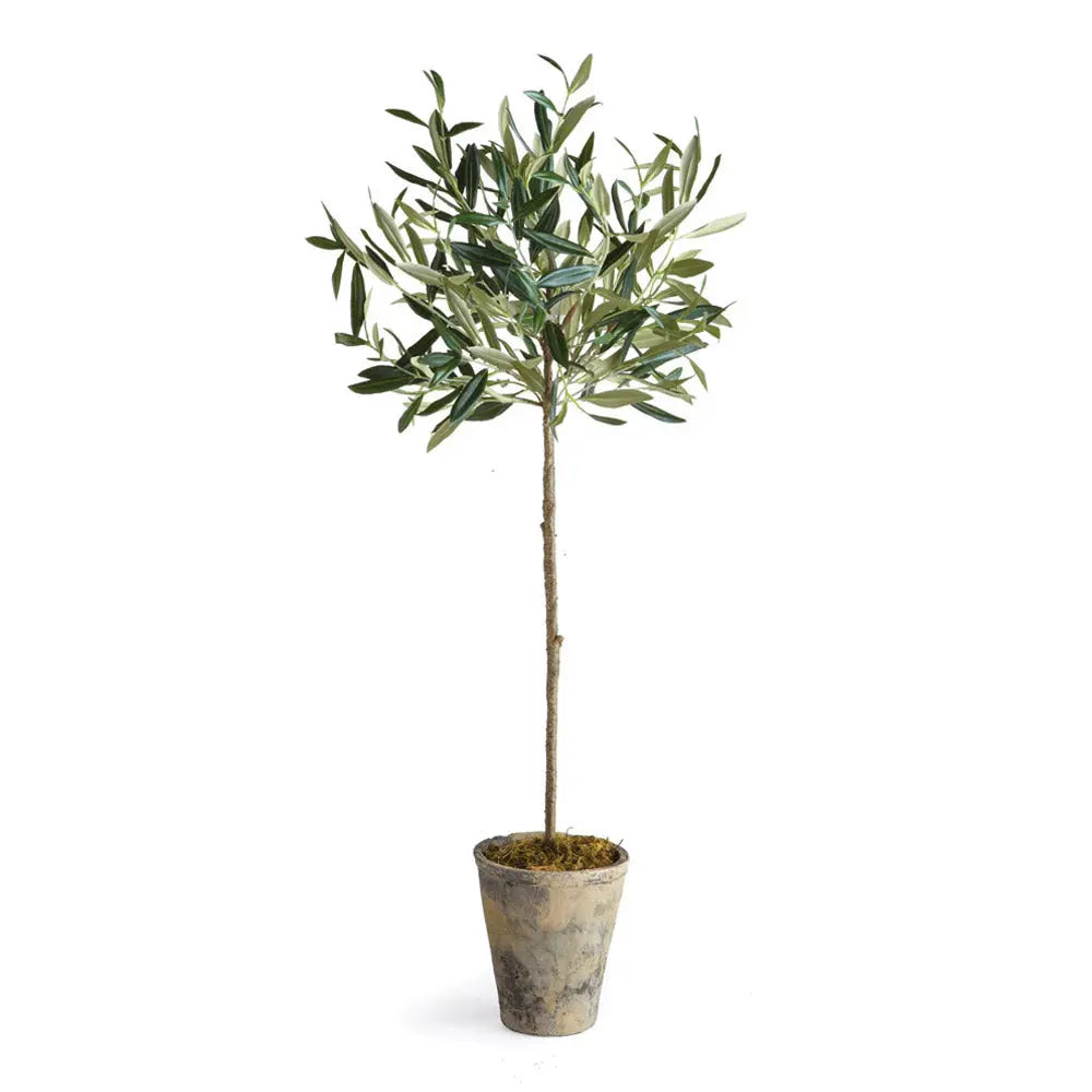 OLIVE TREE POTTED 30" Villa Decor & Design