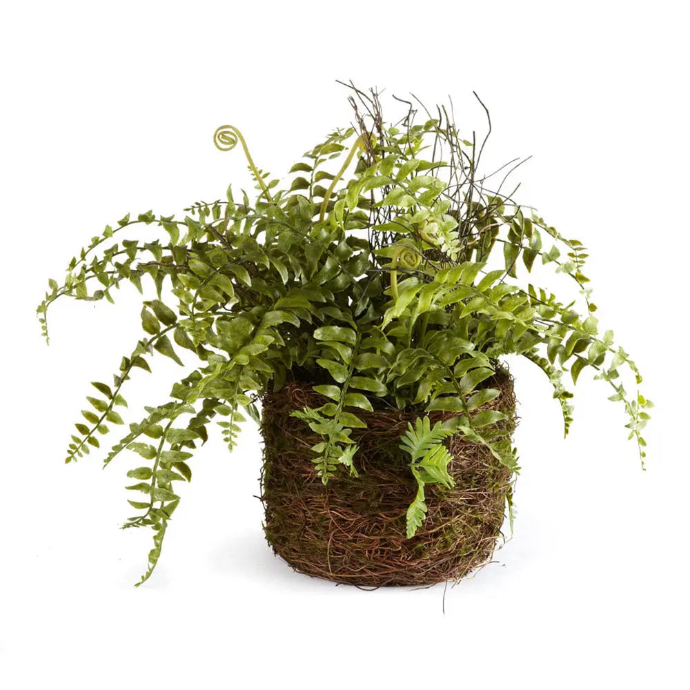 BOSTON FERN RUSTIC DROP-IN 12" Villa Decor & Design