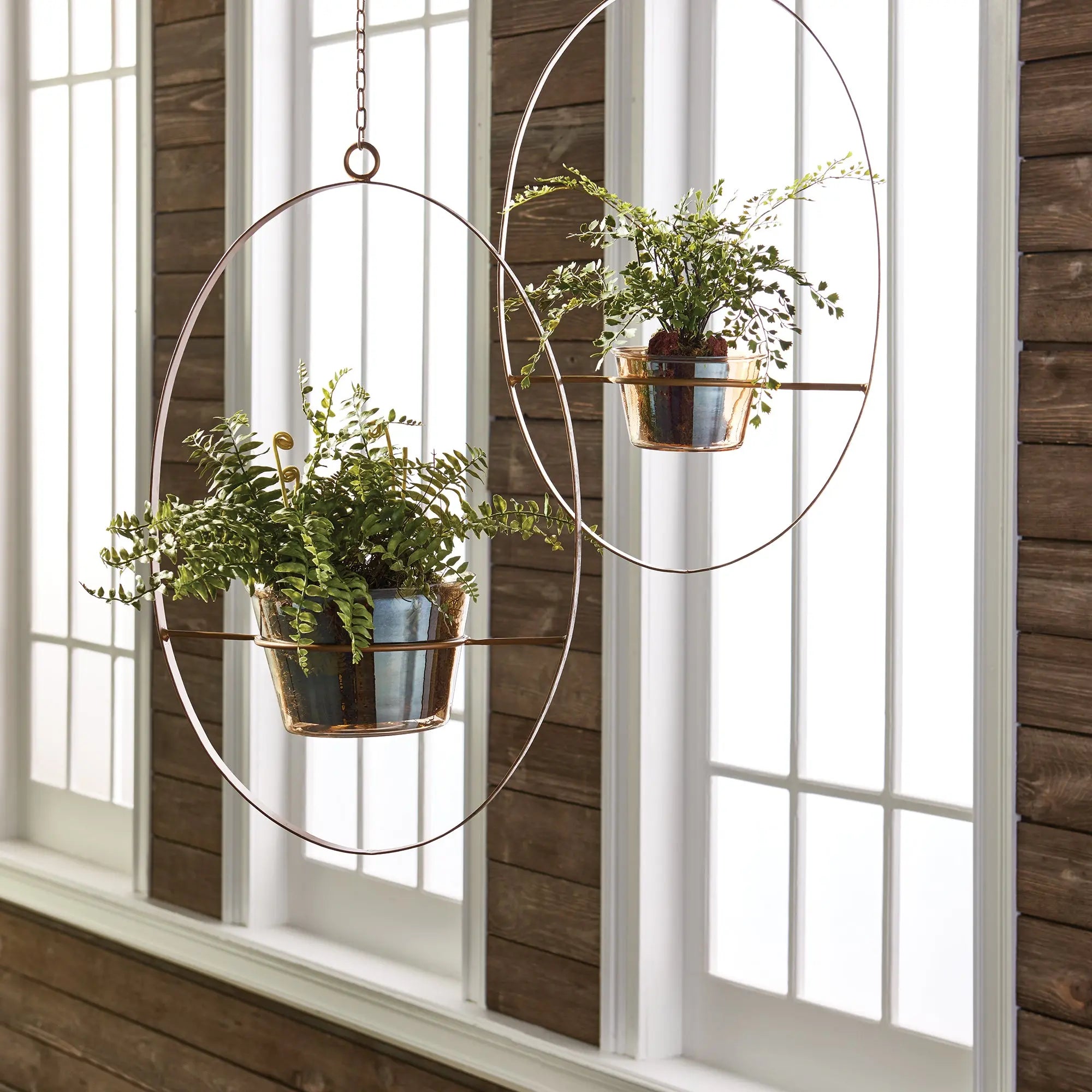 BOSTON FERN RUSTIC DROP-IN 12" Villa Decor & Design