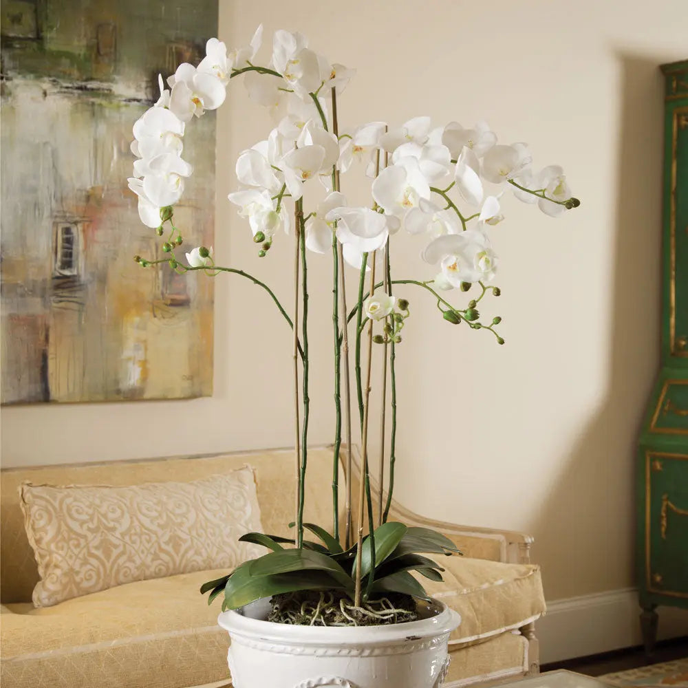 PHALAENOPSIS ORCHID DROP-IN 44" Villa Decor & Design