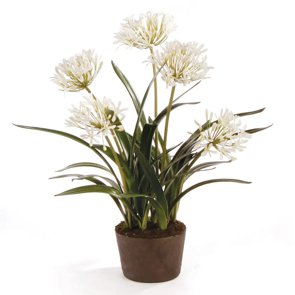 AGAPANTHUS DROP-IN 29" Villa Decor & Design