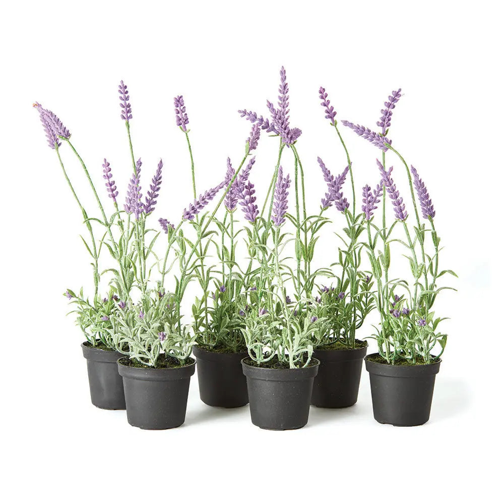 FRENCH LAVENDER DROP-IN 13", SET OF 6 Villa Decor & Design