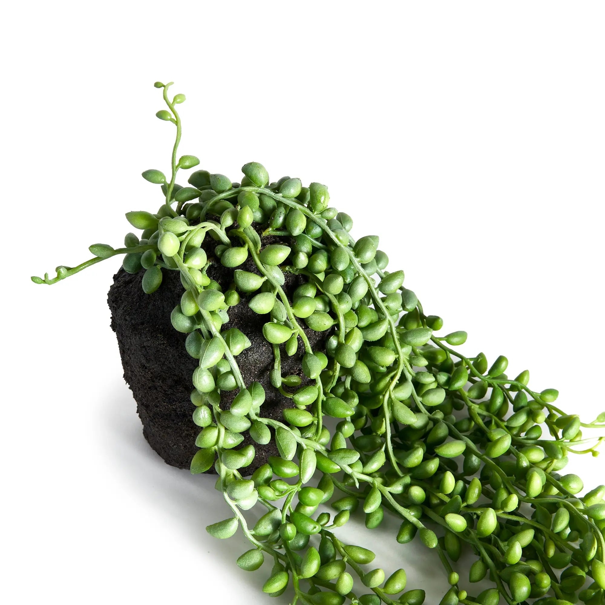 STRING OF PEARLS DROP-IN 26" Villa Decor & Design