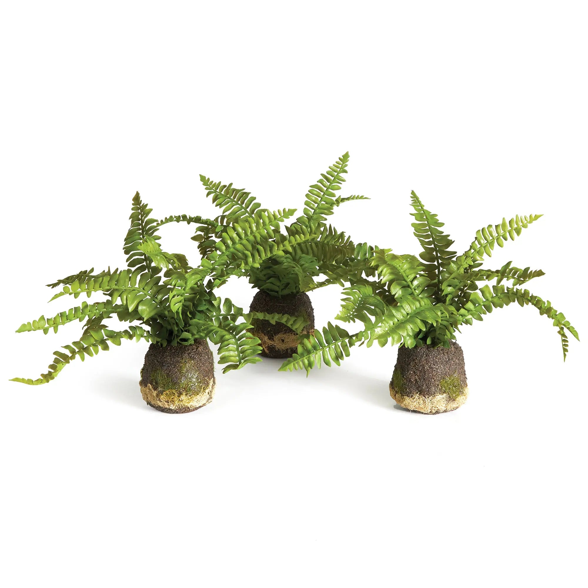 BOSTON FERN DROP-INS, SET OF 3 Villa Decor & Design