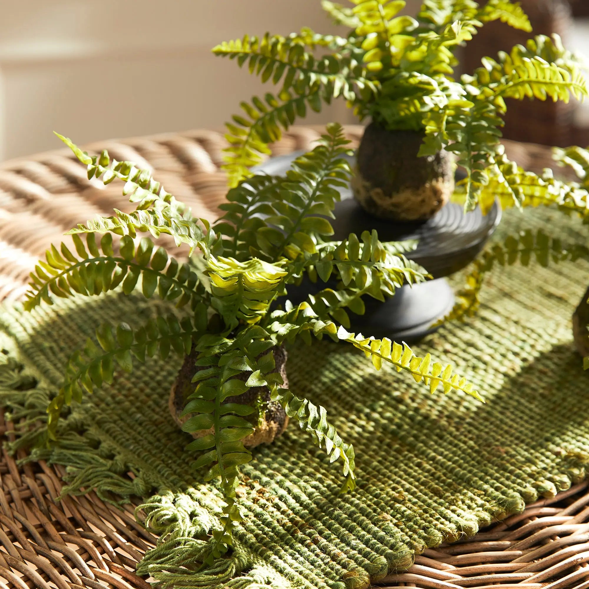 BOSTON FERN DROP-INS, SET OF 3 Villa Decor & Design