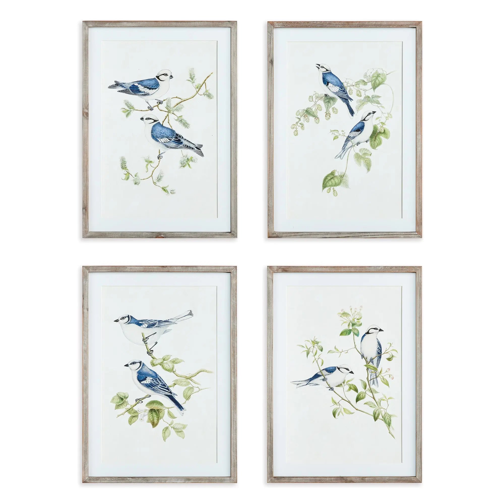 BLUE BIRDS PRINTS, SET OF 4 Villa Decor & Design