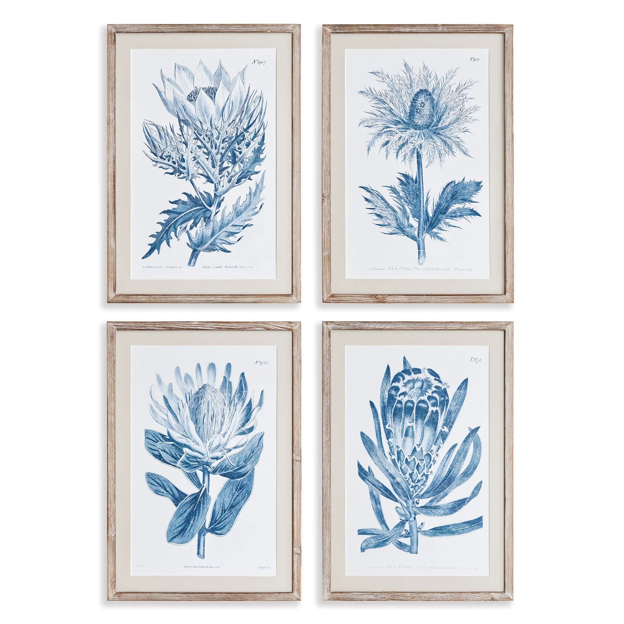 INDIGO PROTEA PRINTS, SET OF 4 Napa Home & Garden