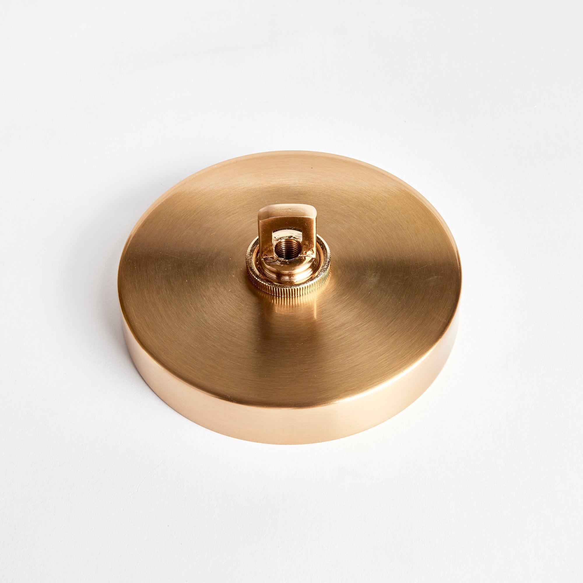 Capra Pendant
