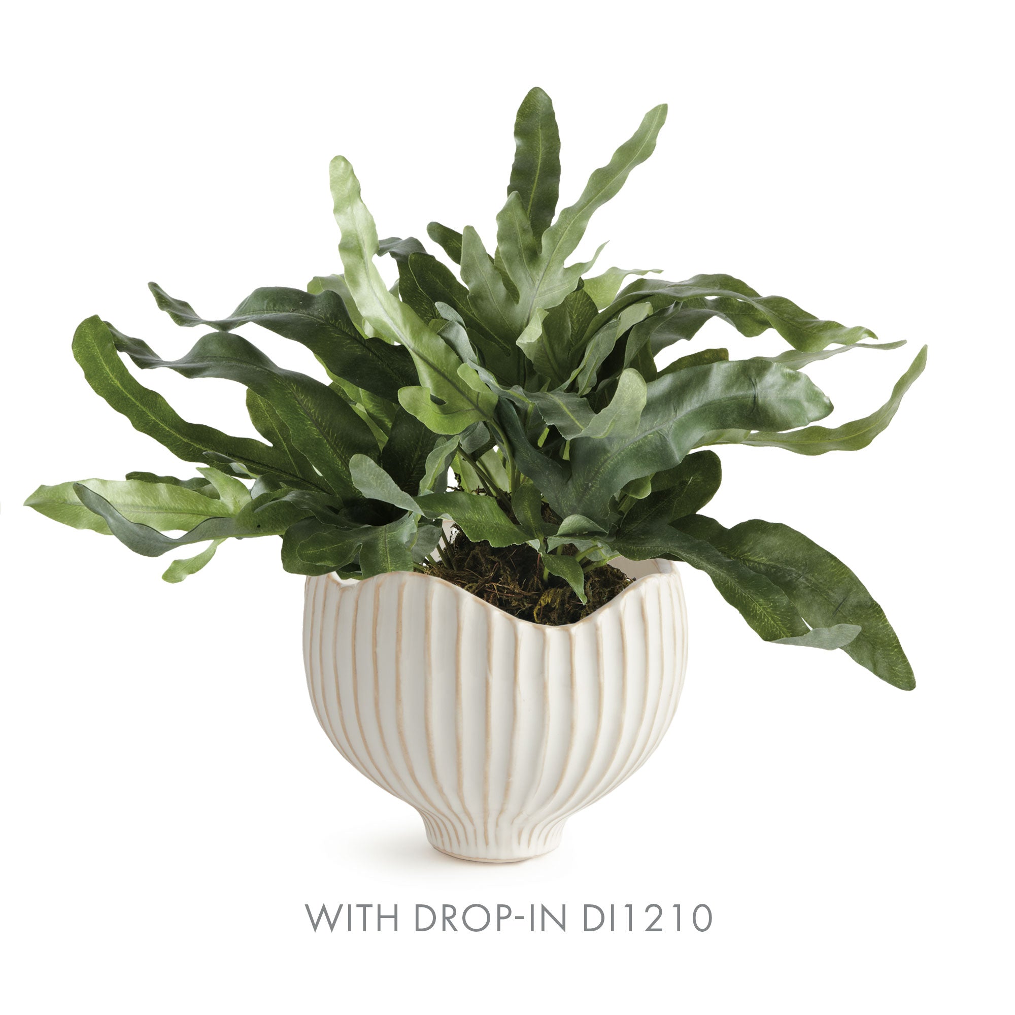 Marianna Pot