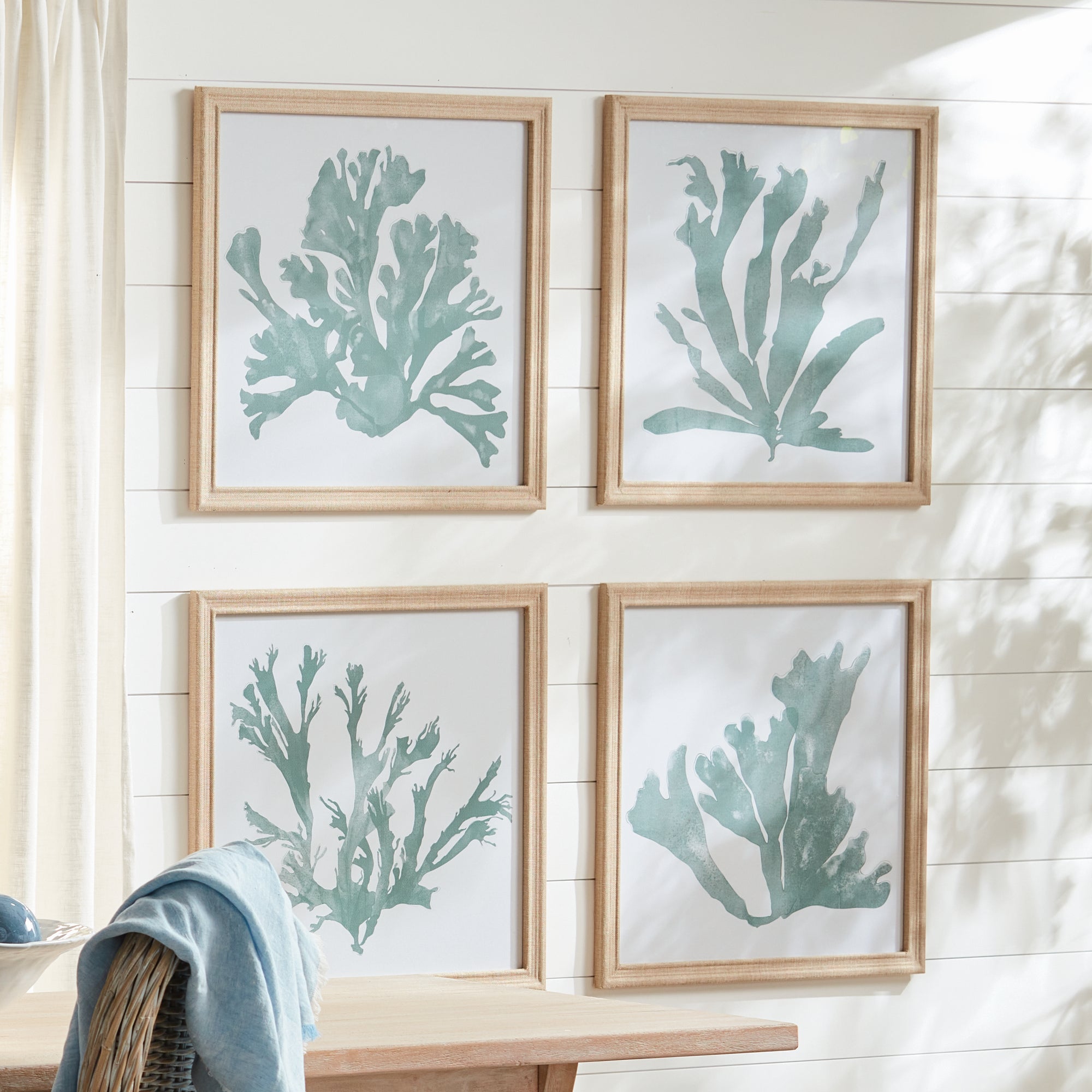 Coral Silhouettes in Soft Green, SET OF 4