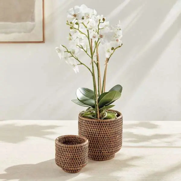 Burma Rattan Cachepot Set - 2 Handwoven Planters | Warm Brown - Villa Decor & Design