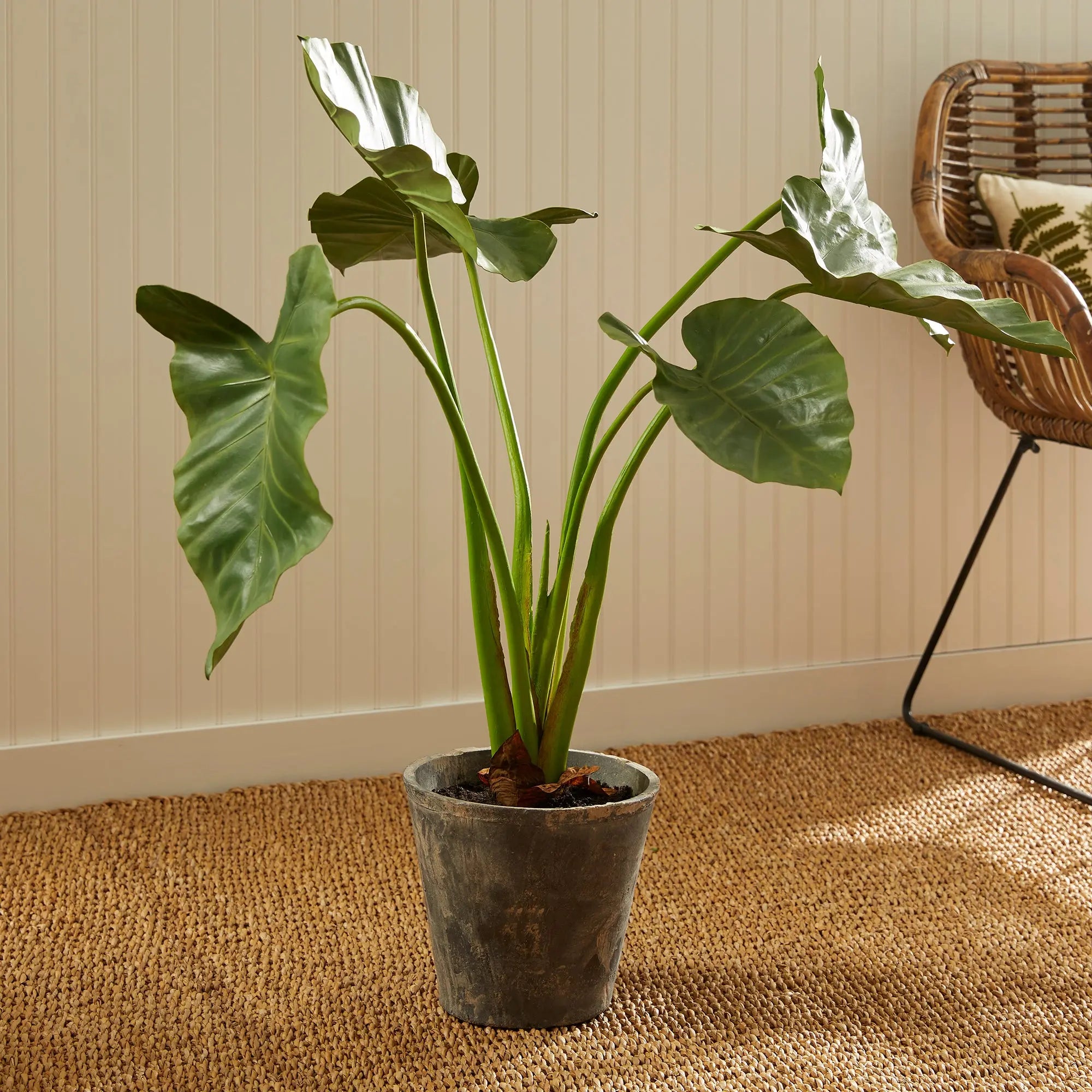 Alocasia Potted 42" - Realistic Faux Tropical Elephant Ear Plant - Villa Decor & Design