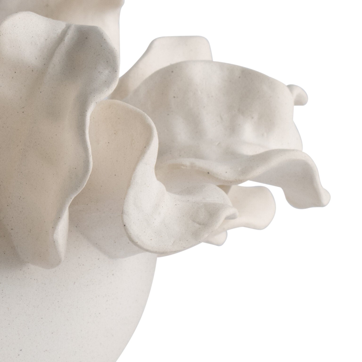 Solana Ceramic Bowl - 14" Matte Off-White Botanical Sculptural Centerpiece - Villa Decor & Design