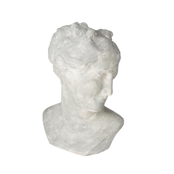 Pompeii Venus Bust, Gray